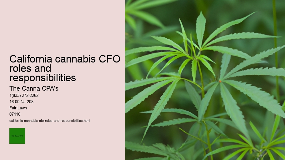 California cannabis CFO roles and responsibilities