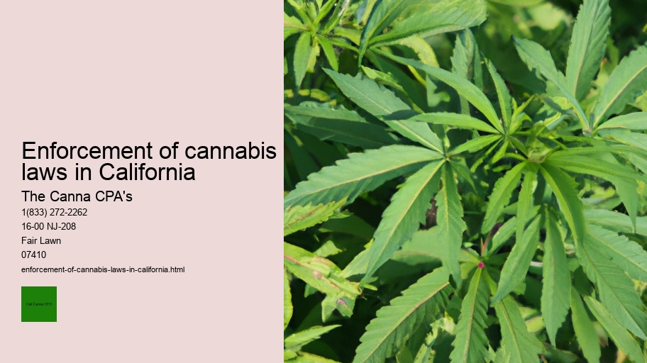 Enforcement of cannabis laws in California