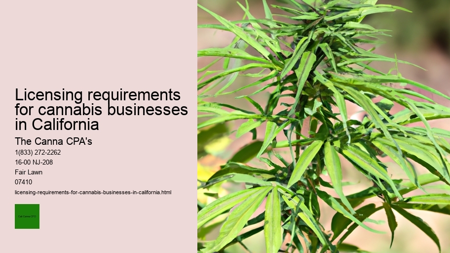 Licensing requirements for cannabis businesses in California