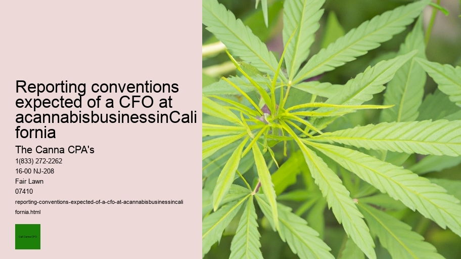 Reporting conventions expected of a CFO at acannabisbusinessinCalifornia